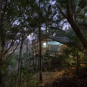 treetops-seaview-montville.queenslandhotels.net/