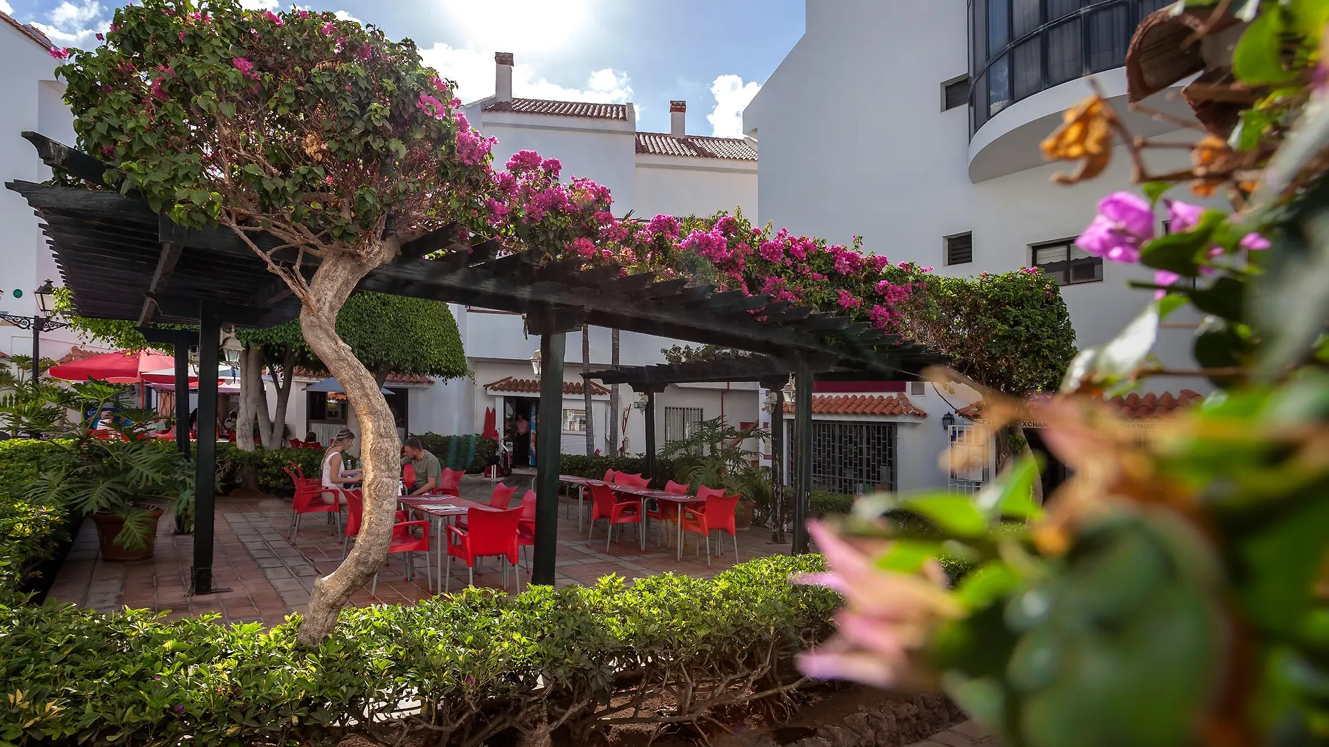 Apartamentos Hg Cristian Sur Los Cristianos